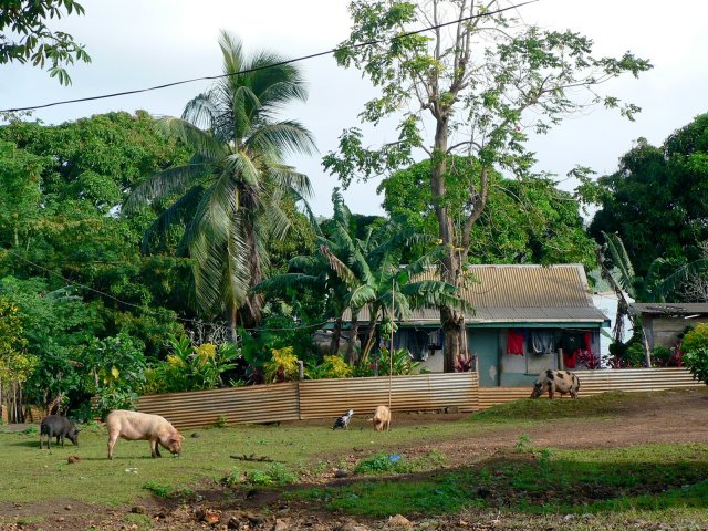 28- Maison sur la colline de Neiafu 